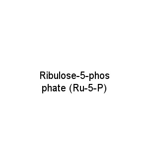 Ribulose-5-phosphate (Ru-5-P)
